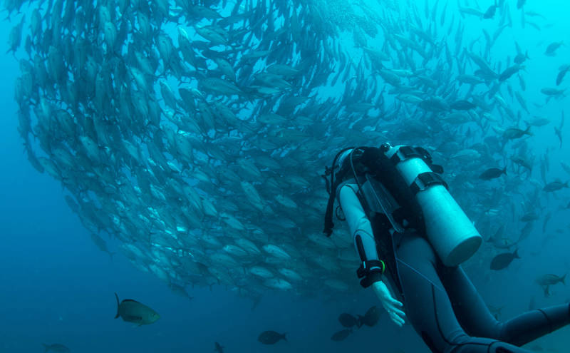 Scuba diving at Cabo Pulmo in Baja California Sur in Mexico