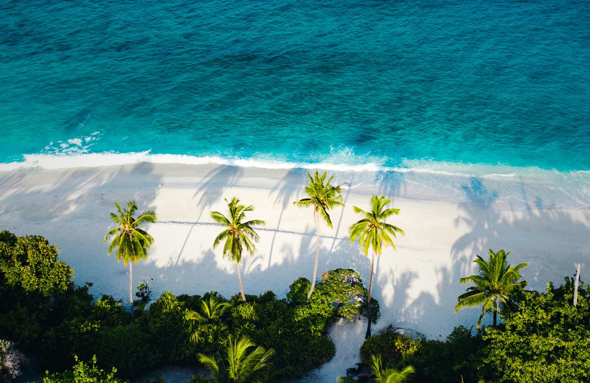 Beach And Palm Trees (2)