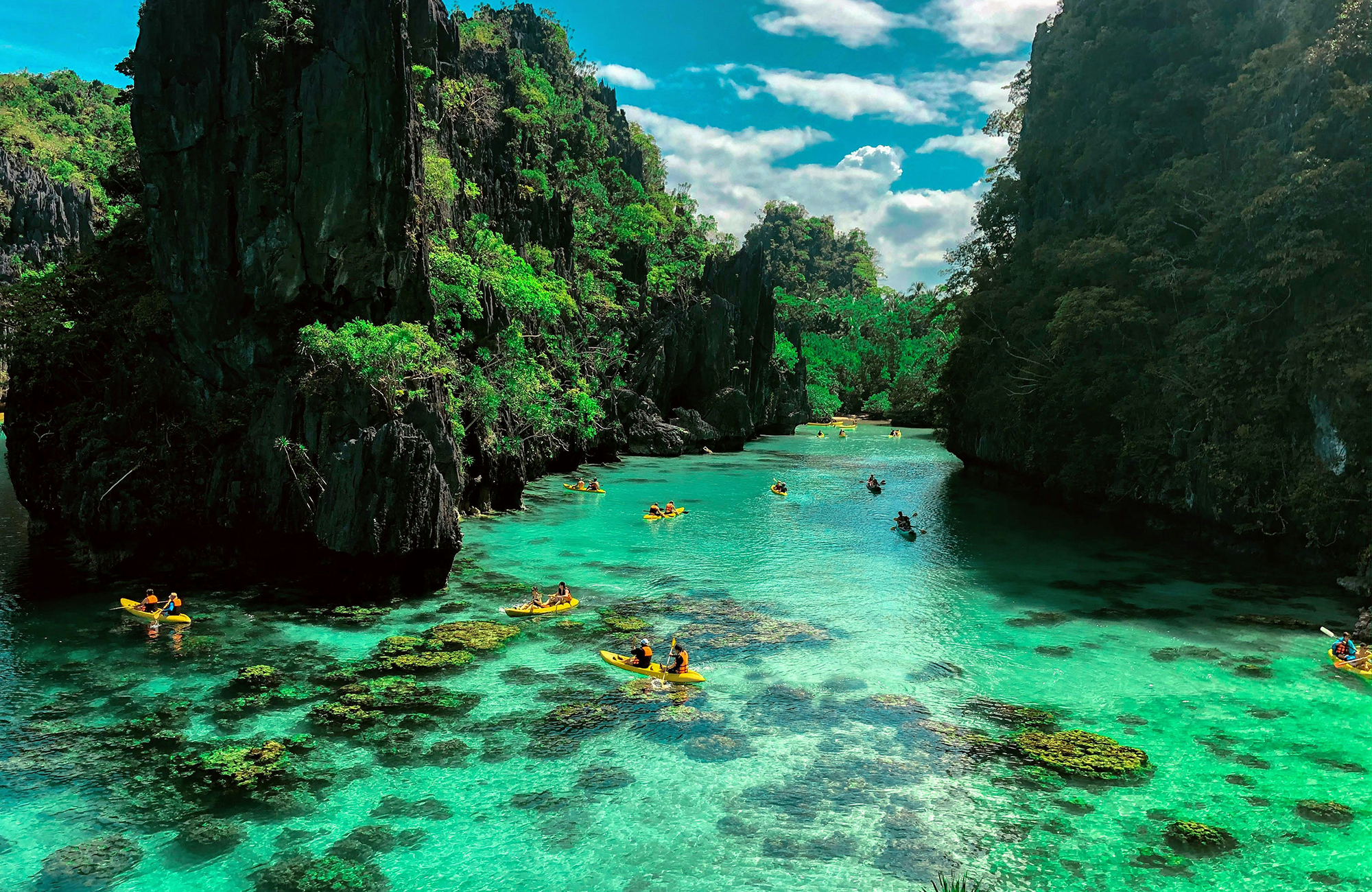 Rommel Paras Wrhne3kmplg Unsplash