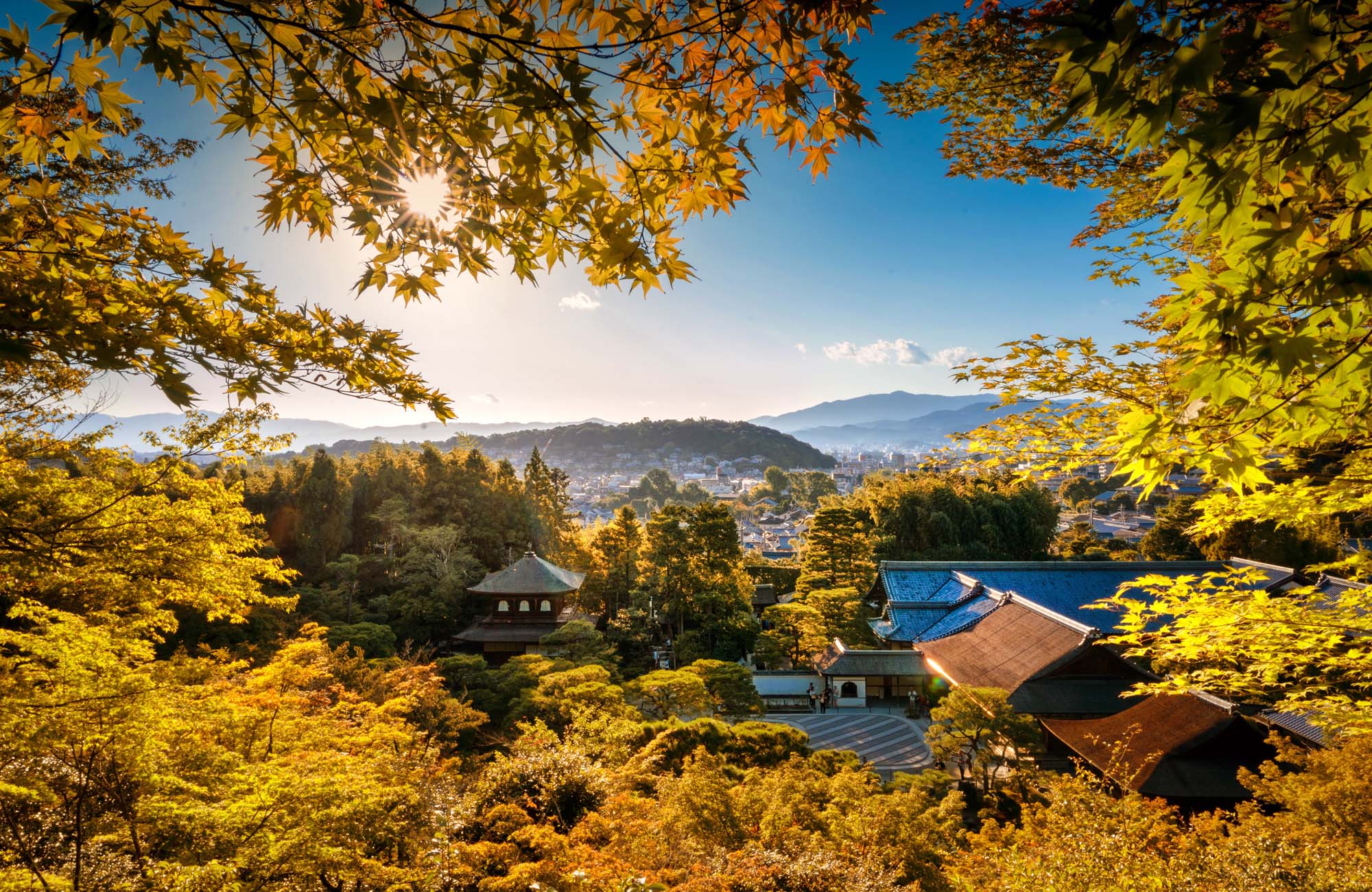 Utsikt över Kyoto genom höstträden