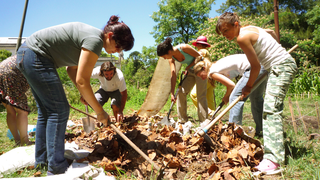 Volunteer Image For Sabbatical Landing Page
