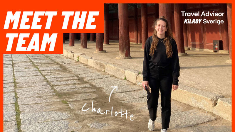 charlotte, reseexpert KILROY
