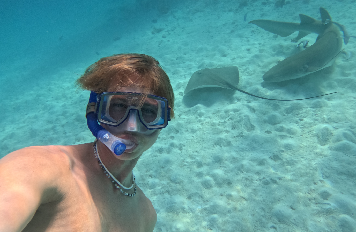  Bild av en man som hoppar från en segelbåt i Filippinerna - KILROY