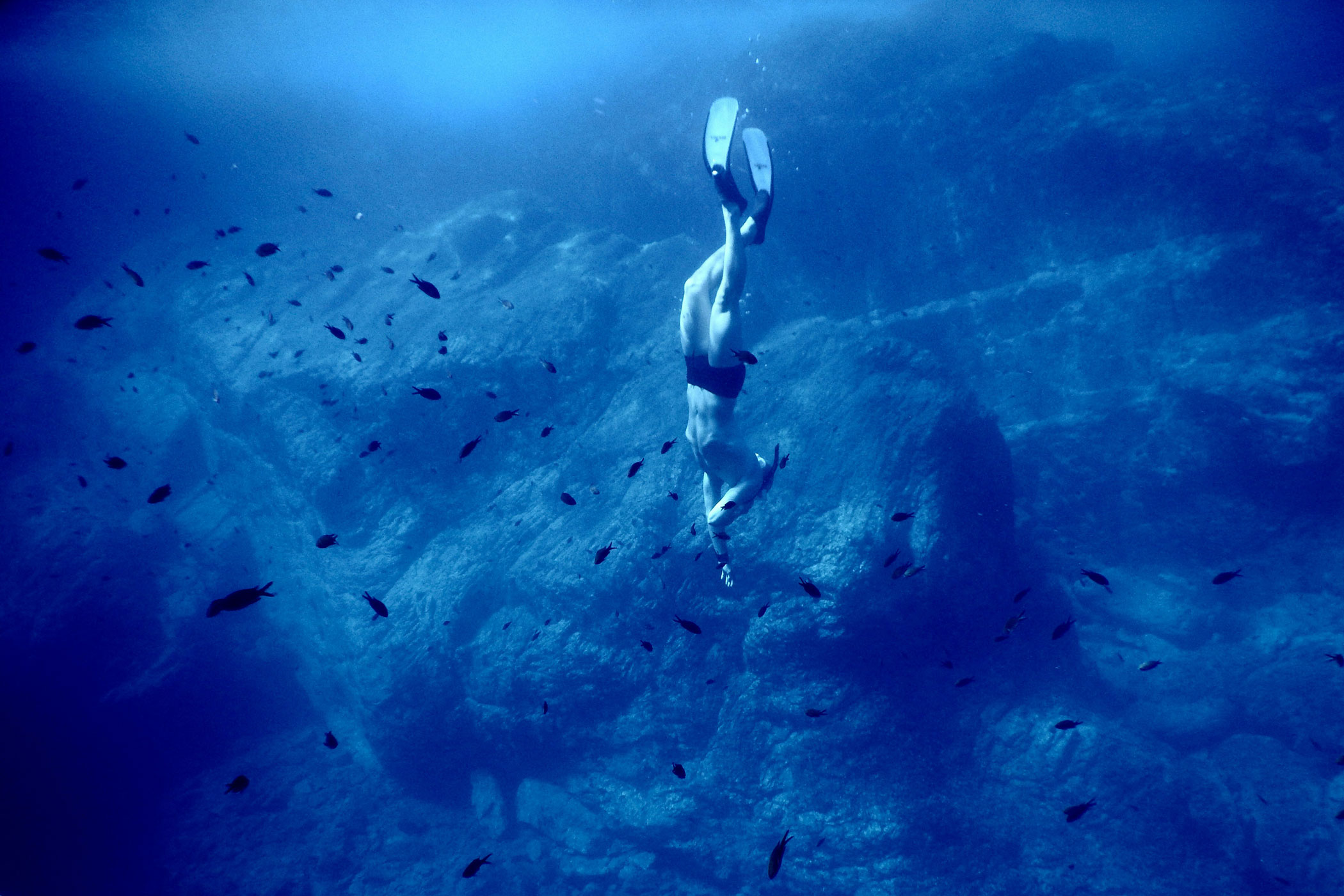 Freediver Among Fish In The Blue Ocean
