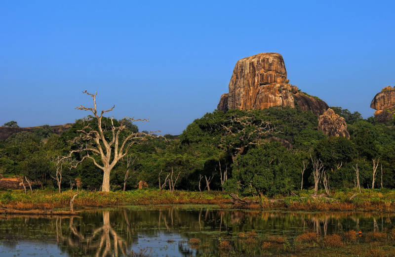 Elephant Rock in Yala National Park, Sri Lanka