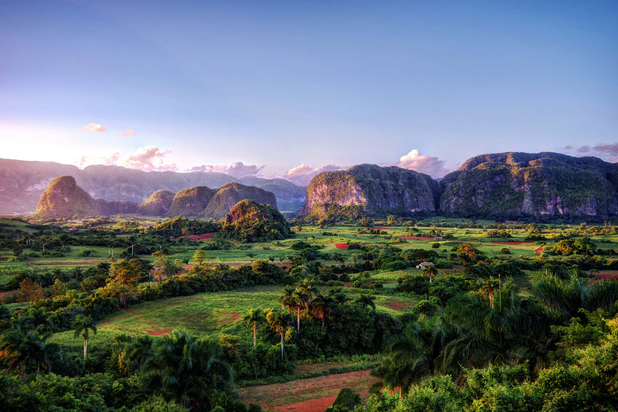 vacker grönskande natur på kuba i vinales