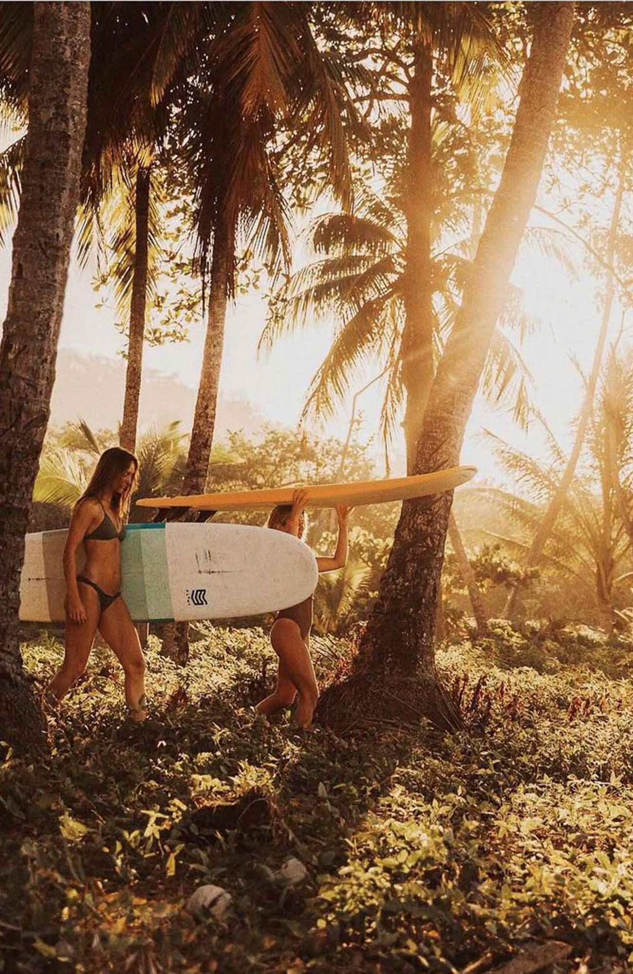 Lapoint Costarica