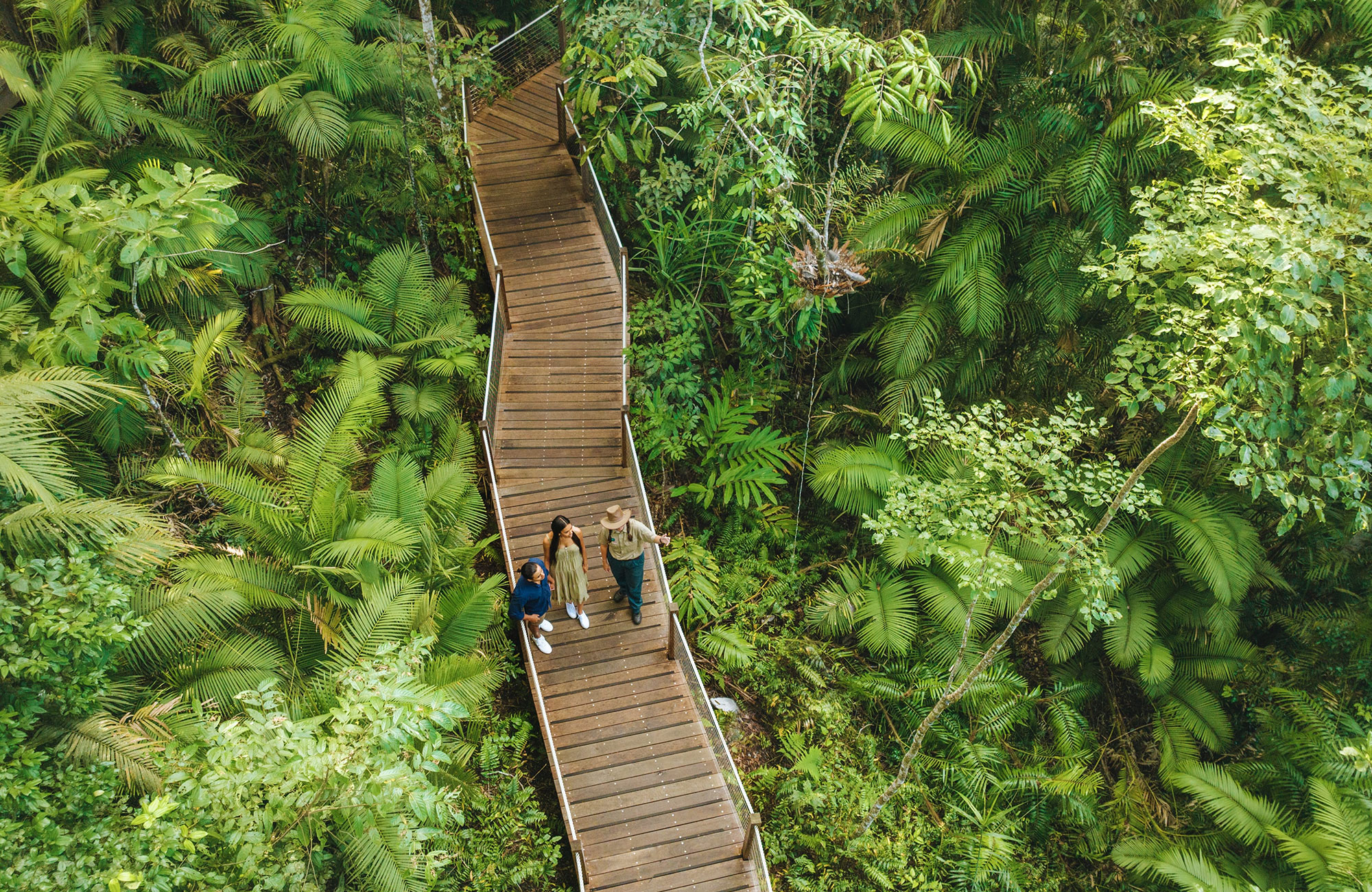 Autopia Via Travel Cairns Wet Tropics World Heritage Area TEQ Pixelframe 151799 151799 6
