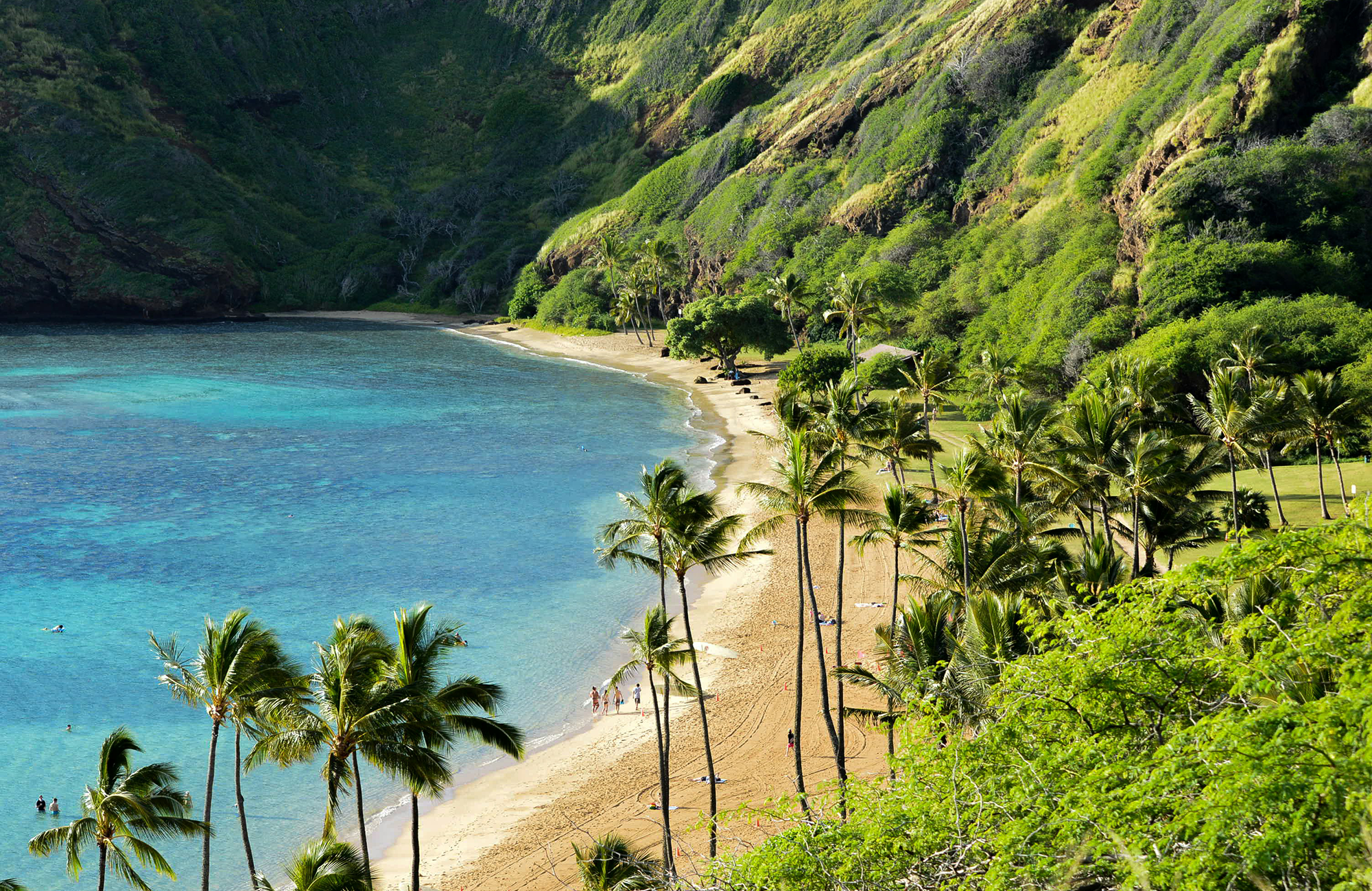 Hawaii Beach