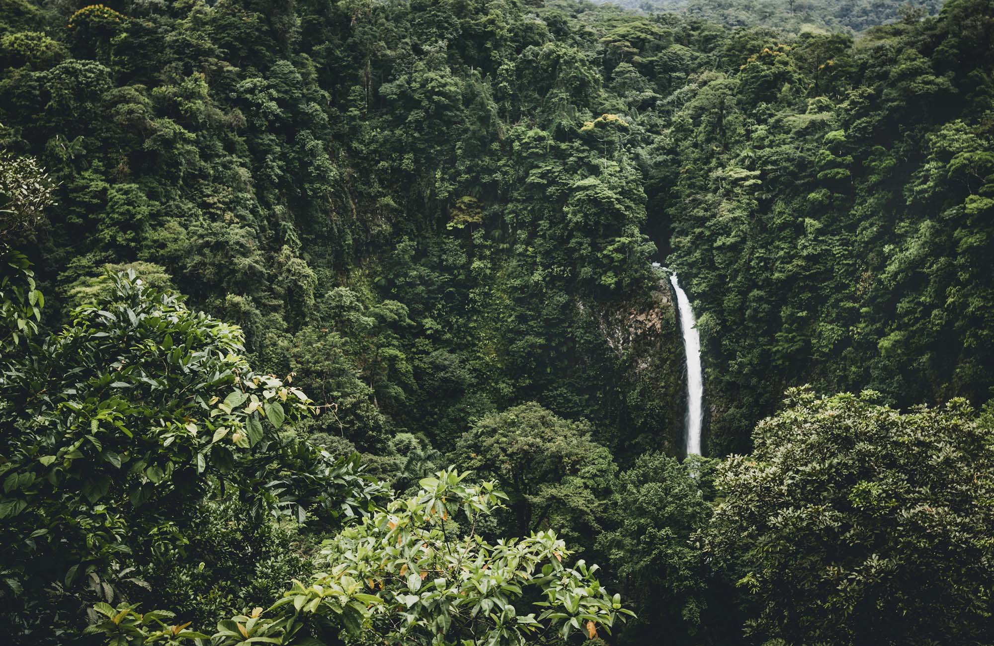 Natur i Costa Rica