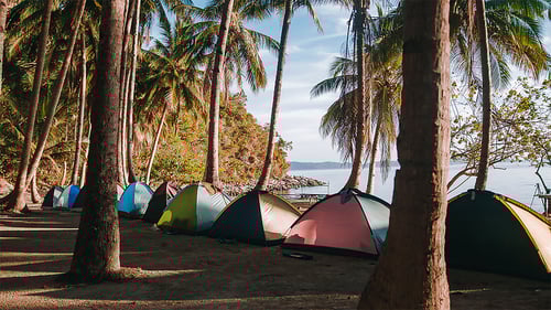 ttt5d-palabeach_7__1280x720_for_navi_web