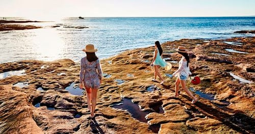 35474-003c97d1-4458-4497-a622-d66693481d08-thumbnail