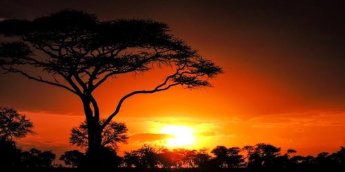 104006e905637d2f017020ba1392b683