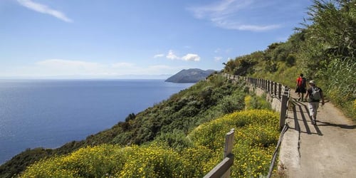 1a0de2501d18aea1c95f9d78d71963e5