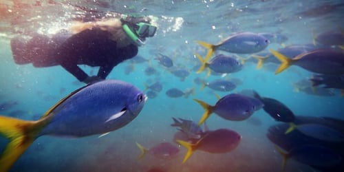 842997f57b2d4b9576508b3169dde8fa