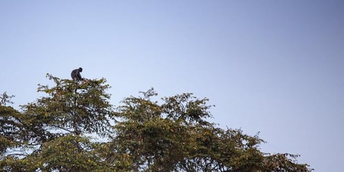 5a02df8a7ed41acba273bfd68472c37f