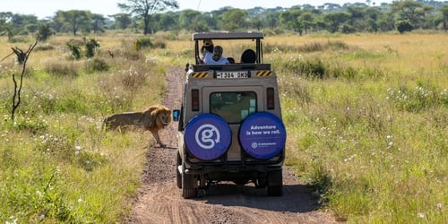 13dd4664bd593582a87fbacd3d499053