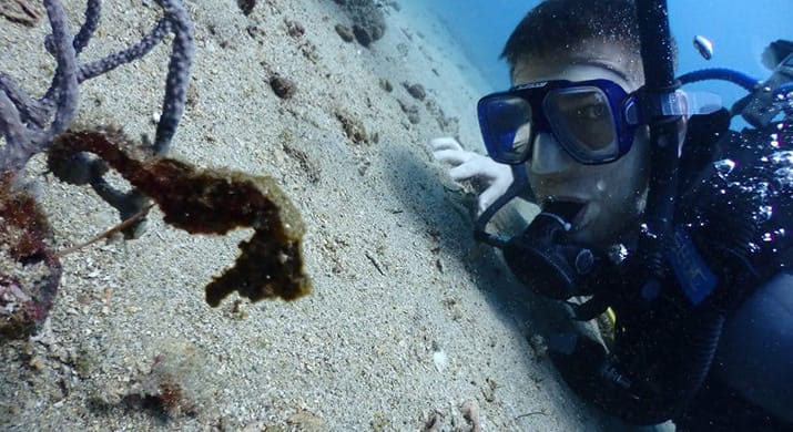 1_bv-product-web-gallery-colombia_0002s_0000s_0009_Diving-036