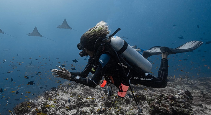 bv-product-web-gallery-12