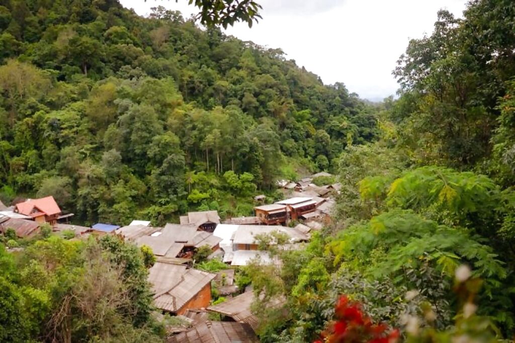 full-day-hidden-jungle-trek-in-mae-kampong_gallery_full
