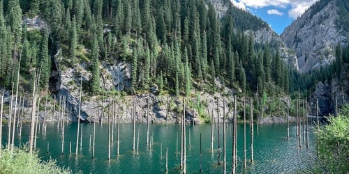 e20de81def9c2514978cb03cd8541873