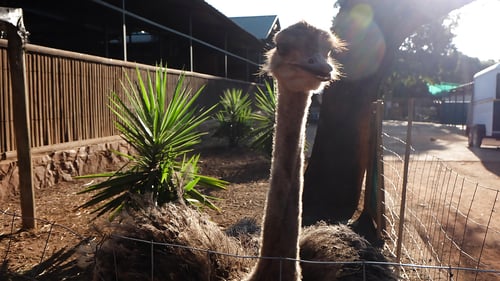 wildlifesanctuary1_1280x720