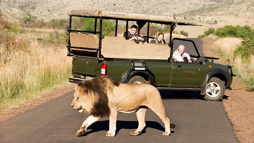 pilansberg_1_1280x720_for_navi_web