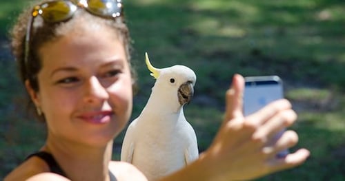 18409-3d01e7f9-7da9-4911-b70e-ff31bb80e44a-thumbnail