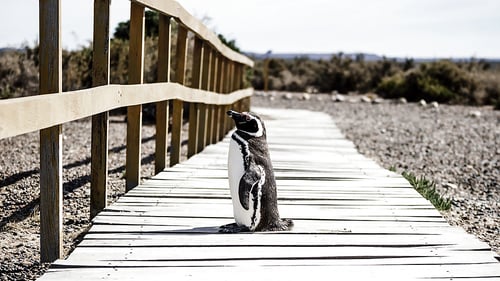 od025_8_1280x720_for_navi_web