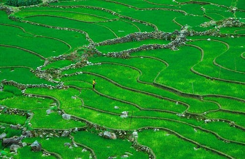 sapa-local-ethnic-village-trek-5-days-5