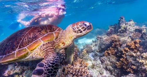 33408-5850a6b5-b05d-422b-953e-f001fa8d3a9c-thumbnail