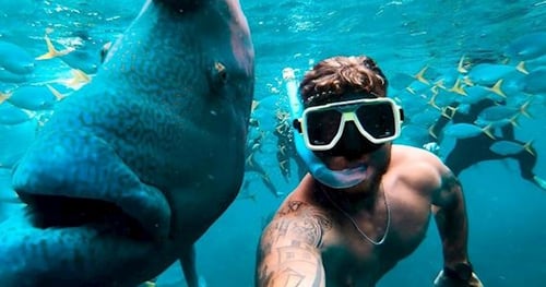 34000-8abb4355-a78a-4ec9-b9f4-54bb0c03f14f-thumbnail