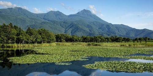 8a9a817796b9a1a36c265dd5439ae186