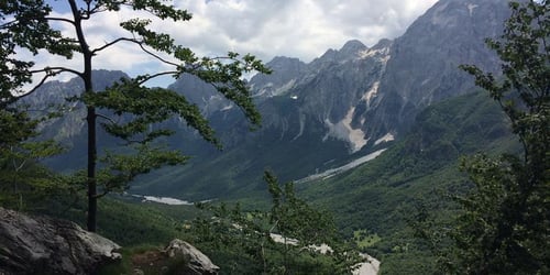 9115a211cb312fd0fa35882fb87ab9e0