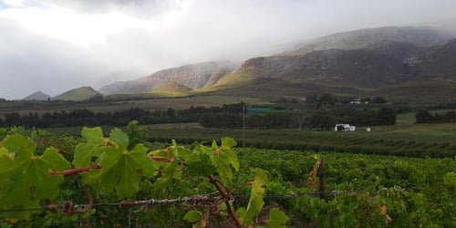 ad1c6237cbe17626bc57ac2ce40e50c0