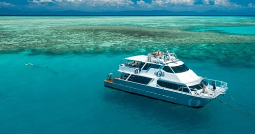 43133-be1b3cfb-67c7-4cf3-9f8c-5413c2e007c3-thumbnail