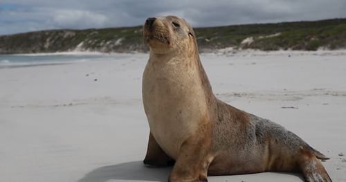 43425-fd0eb8fe-57db-4013-8201-7ee7497c3686-thumbnail