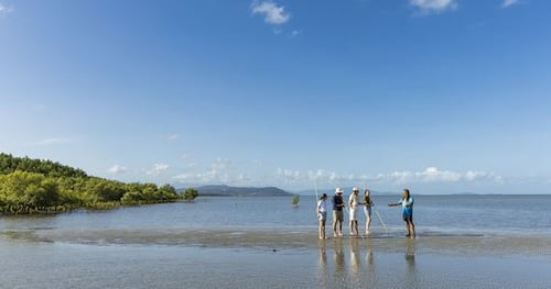 43557-666b5f77-bfee-41ce-81fe-07ffb2b05dd1-thumbnail