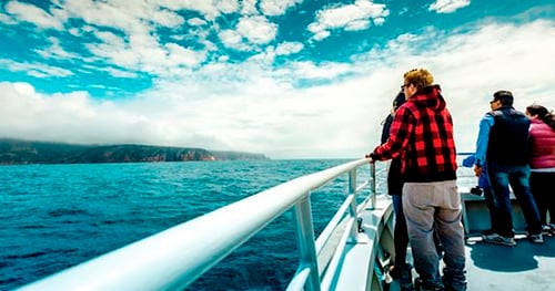 39434-2e820c30-bb53-4508-bffa-cb57dd40512f-thumbnail