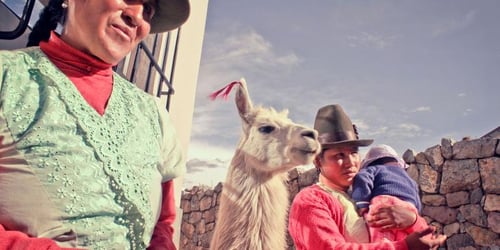 1ee80e4ef15a16bab5b795ab61dc8d12