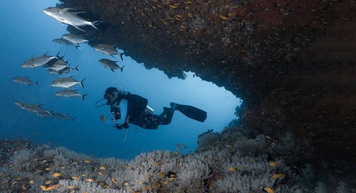 bv-product-web-gallery-1