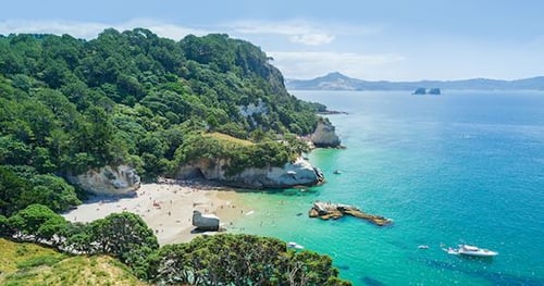 44164-909c6ecd-4b72-4ee2-b54a-f7ce95157c20-thumbnail