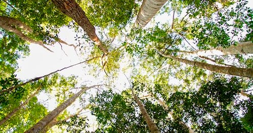 31156-eb0b4a76-c95b-464d-bab7-57f5e89a71e4-thumbnail