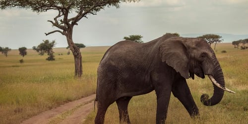 7649d7b7b805b9f518fedac4aa997d30