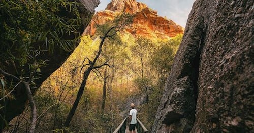 37508-a3ec02ac-d7d5-42c3-b8f7-18ee8d39b55b-thumbnail