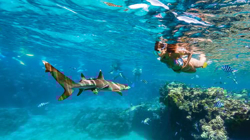 yasawa_adv_snorkelling_2