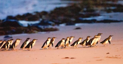 39084-9fa3e014-f5b2-4cb4-9ba9-70a47011f1fe-thumbnail