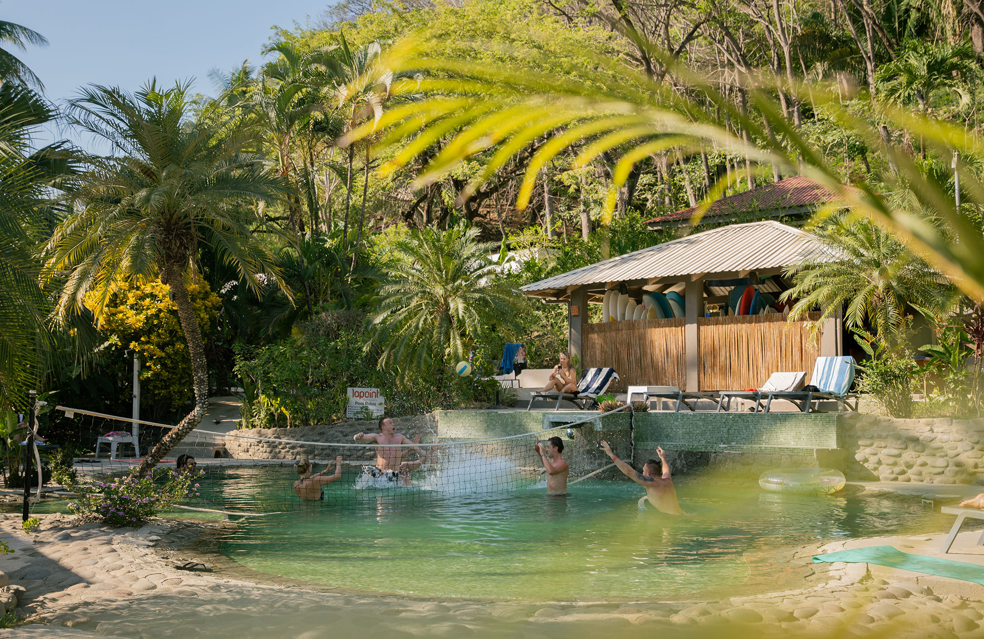 Surfing Costa Rica med KILROY | Vi hjälper dig att hitta ett surfcamp i Costa Rica