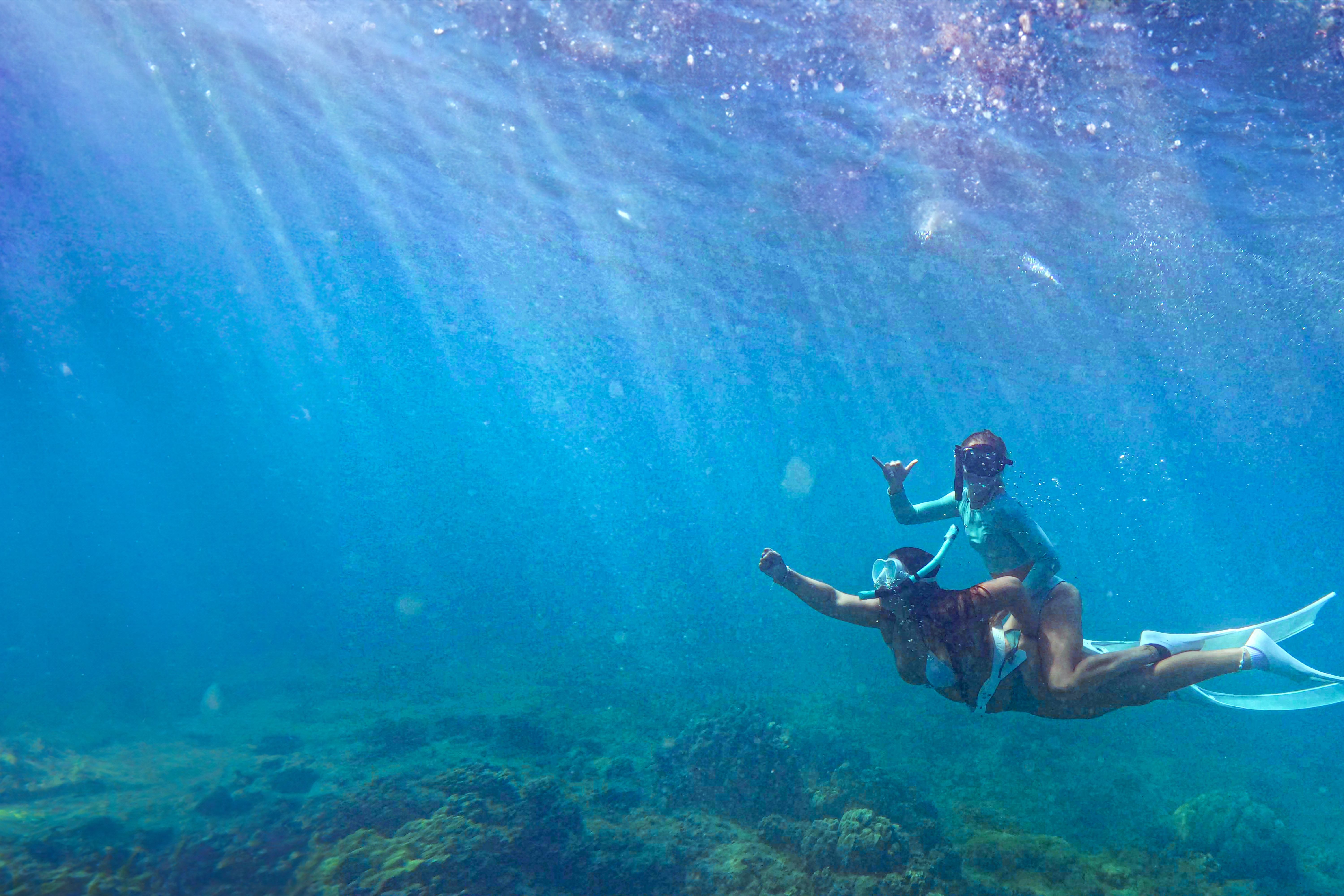 Microsoftteams Image (7)