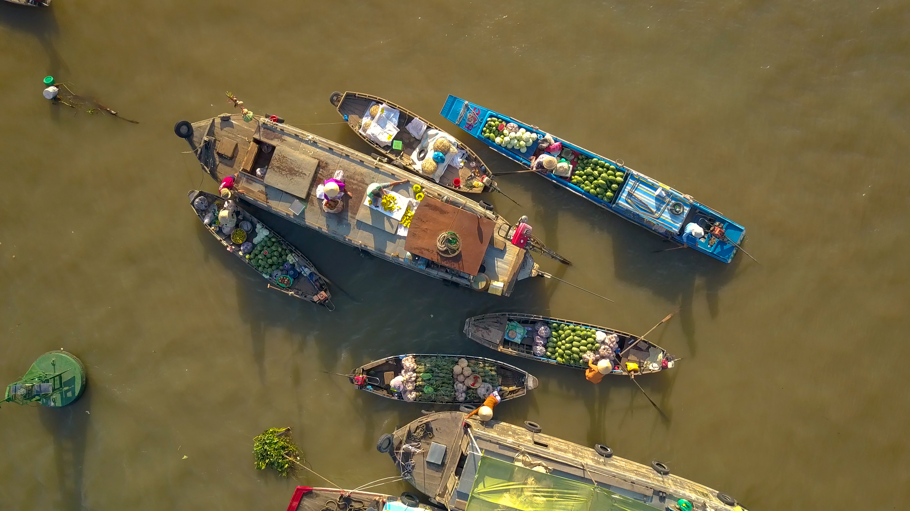 Shutterstock 1238715325